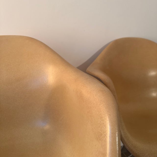 Cream DAR Armchairs in Fiberglass by Charles and Ray Eames for Herman Miller, 1960s, Set of 4 For Sale - Image 8 of 12
