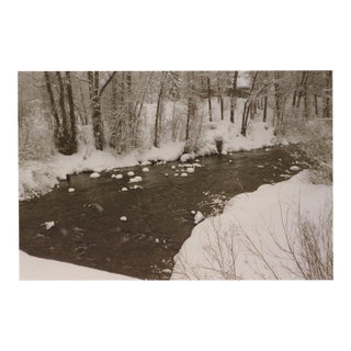 Evelyn H. Lauder Snow Marshmallows, 1991 - Signed For Sale