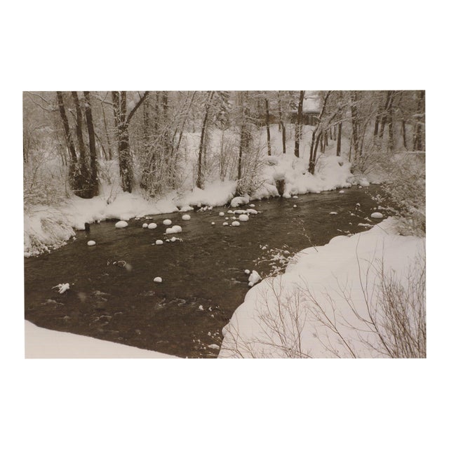 Evelyn H. Lauder Snow Marshmallows, 1991 - Signed For Sale