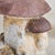 French Brown + Ivory Concrete Mushroom Garden Sculpture, 1960s For Sale - Image 11 of 18