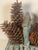 1960s Rustic Chalet Decor - Huge Pine Cones in Twig Basket For Sale - Image 4 of 8