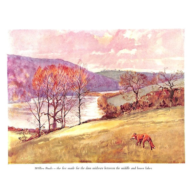 "Hounds, Horses, and Hunting" 1948 Pitt, Frances For Sale - Image 11 of 12