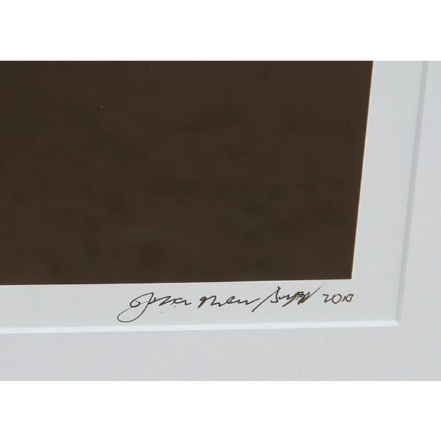 A digital photographic print by Jonathan Singer from 2010. A still life study of a saguaro cactus with deep contrast and...