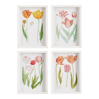 Tulip Prints, Set Of 4 For Sale