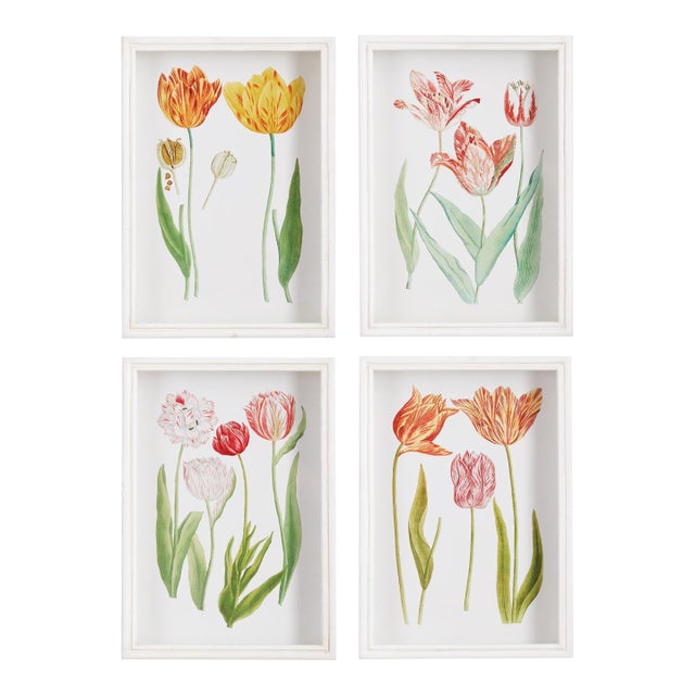 Tulip Prints, Set Of 4 For Sale