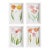 Tulip Prints, Set Of 4 For Sale