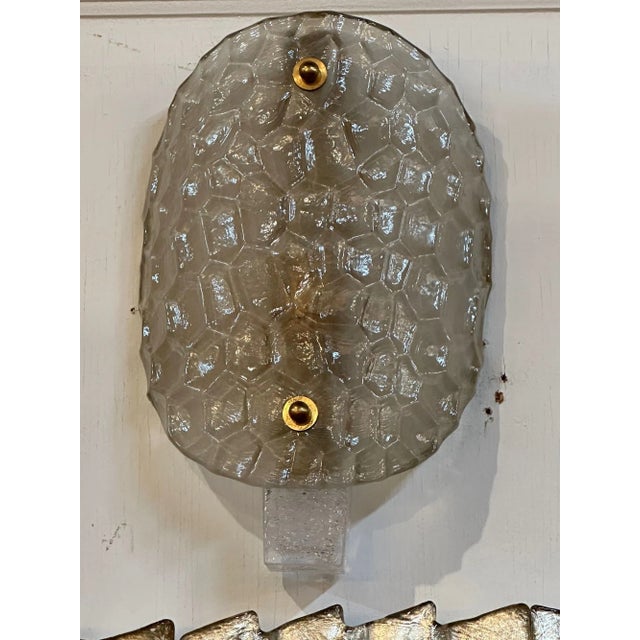 Modern Pair of Modern Turtle Fume Sconces For Sale - Image 3 of 5