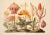 Paper 13" X 9" 'Garden Flowers' Botanical Print, 'Hortus Floridus' Style, Unframed For Sale - Image 7 of 7