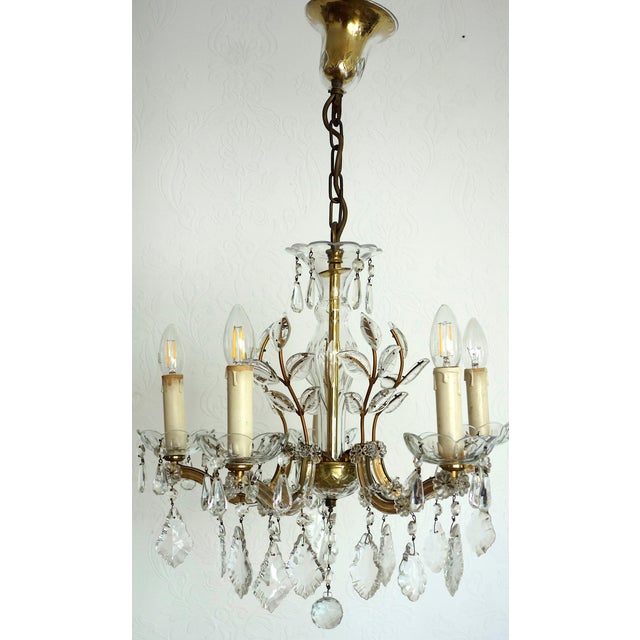 Antique Maria Theresia 5-Light Chandelier from Palwa, 1960s For Sale - Image 6 of 14
