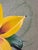 2010s Modern Oil Painting - Yellow Flower For Sale - Image 5 of 11