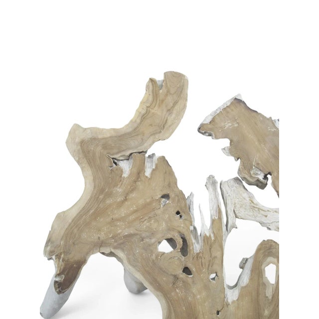 Organic Teak Root Sculpture Wall Art 12 For Sale - Image 4 of 6