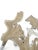 Organic Teak Root Sculpture Wall Art 12 For Sale - Image 4 of 6