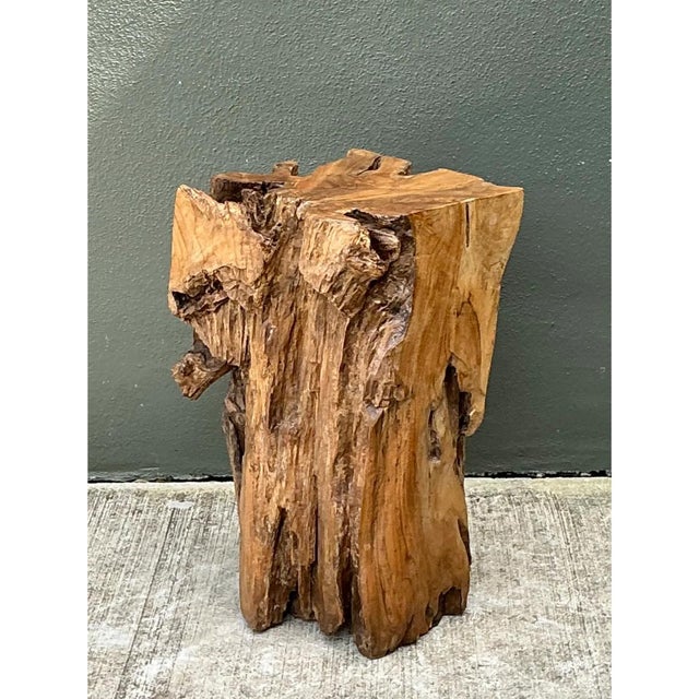 Vintage Natural Wood Stump Table For Sale In West Palm - Image 6 of 12