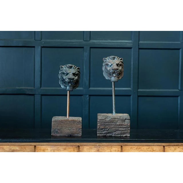19th Century English Mounted Lion Masks in Cast Iron For Sale - Image 4 of 11