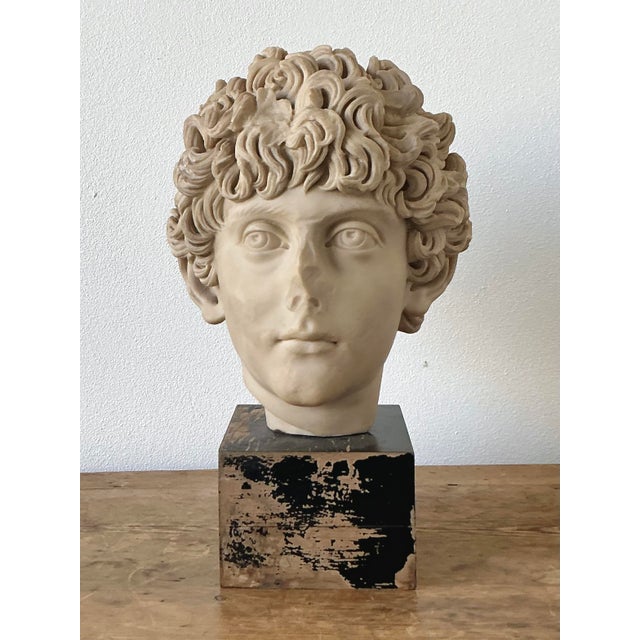 This striking vintage bust of a youthful Marcus Aurelius is a masterful example of Neoclassical revival design. Crafted...