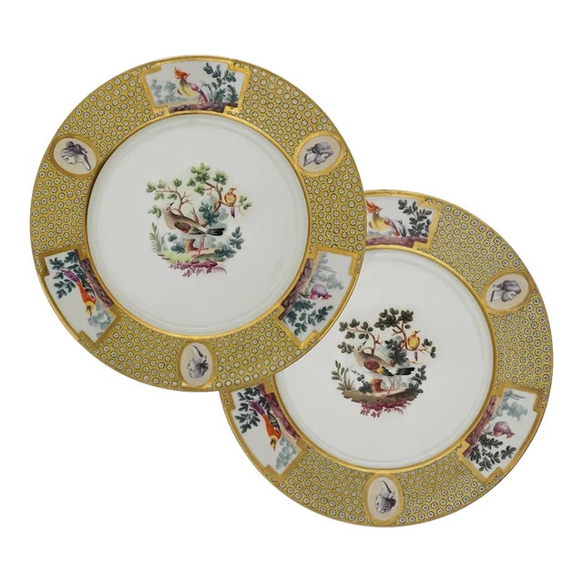 Early 20th Century Sevres Style Samson Plate - a Pair For Sale