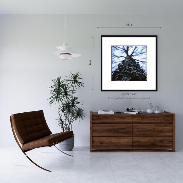 Contemporary Paul Cooklin, Ivy I, Edition of 50 For Sale - Image 3 of 5