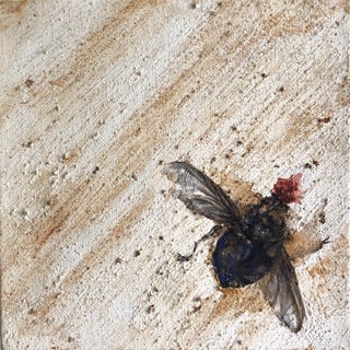 Splat by Cindy Shih | Ink and acrylic on ground depicting a fly on textured surface. For Sale