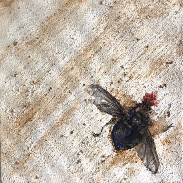 Splat by Cindy Shih | Ink and acrylic on ground depicting a fly on textured surface. For Sale