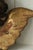 18th Century French Baroque Carved Giltwood Cherub Head Fragment Wall Ornament For Sale - Image 6 of 12