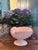 Shell Vintage Mid-Century Wedgwood "Alpine Pink" Nautilus Shell Footed Centerpiece Vase For Sale - Image 7 of 9