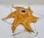 Amber Vintage Italian Murano Amber & Clear Starburst Glass Centerpiece Bowl For Sale - Image 8 of 9