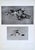 Set of 12 Antique Botanical Photogravure Plates From the First Edition of Nature's Aid to Design (1907) For Sale - Image 9 of 13