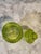 Vintage Green Glass Apothecary Jar With Optic Swirl For Sale - Image 4 of 13