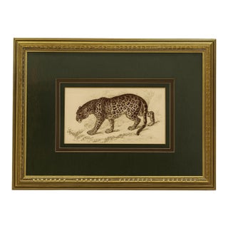 19th-C. Victorian Sir William Jardine’s the Naturalist Colored Engraving Jaguar by James Stewart For Sale