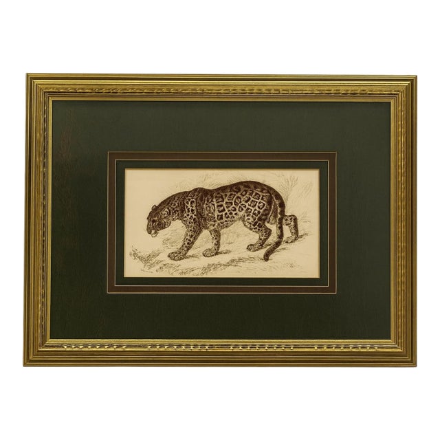 19th-C. Victorian Sir William Jardine’s the Naturalist Colored Engraving Jaguar by James Stewart For Sale