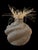 Yamayama rasta creates ridges, valleys, and contours that read, from a distance, like an aerial view of landscape. Three...