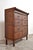 Brown Antique Oak Chest of Drawers from Globe Wernicke, 1900s For Sale - Image 8 of 15