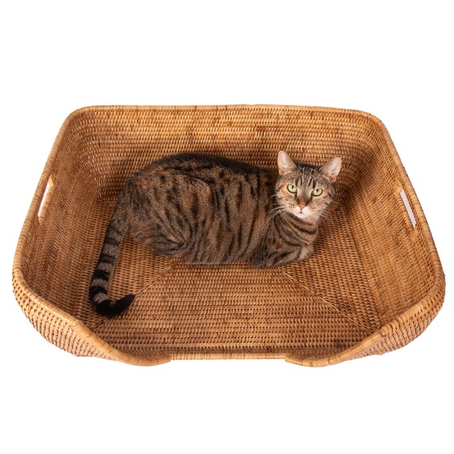 Artifacts Rattan Pet Bed 26"x20", Honey Brown For Sale - Image 4 of 5
