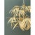 Early 21st Century Vintage Currey and Company “Calliope” Palm Frond Chandelier For Sale - Image 5 of 12