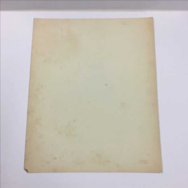 19th Century Portrait of a Mother and Baby Photograph For Sale - Image 5 of 5