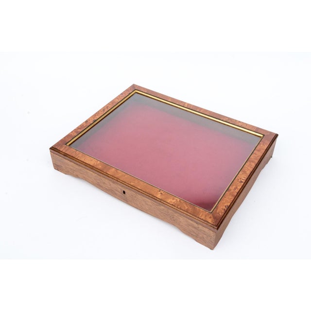 A vintage tabletop collector's display case in a burl wood frame in warm amber tones, gilt glazed lid, red felt-lined...