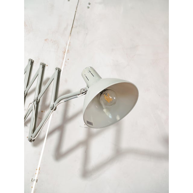 Vintage Gray Hala Zeist Scissor Lamp, 1960s For Sale - Image 4 of 14
