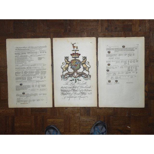 Antique 18th Century Copperplate Engravings-Heraldry Crest & Family Tree-13"x19.5" - Set of 3 For Sale In Cincinnati - Image 6 of 6