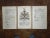 Antique 18th Century Copperplate Engravings-Heraldry Crest & Family Tree-13"x19.5" - Set of 3 For Sale In Cincinnati - Image 6 of 6