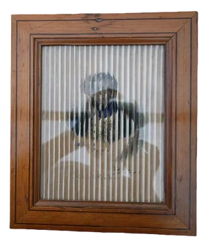 Curiosity Lenticular View Anamorphosis with Napoleon Bonaparte by Francois Delpech