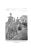 "Wall & Water Gardens" 1901 Jekyll, Gertrude For Sale - Image 13 of 13