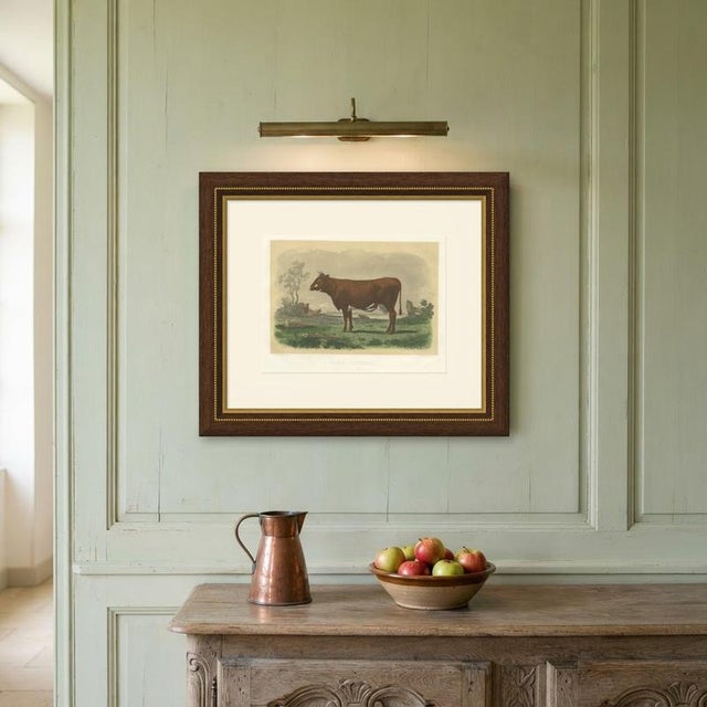 Unknown, Flemish Cow, 1873, Paper For Sale - Image 11 of 12