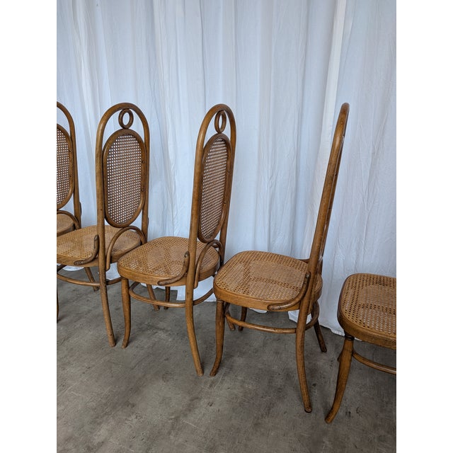 Brown Vintage Bentwood Cane Dining Chairs, 1970s, Set of 6 For Sale - Image 8 of 18