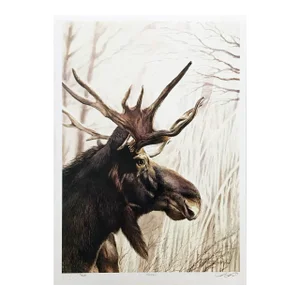 1980s Robert Pow Moose Print