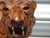 1960s Vintage Leather Tiger, 1960s For Sale - Image 5 of 12