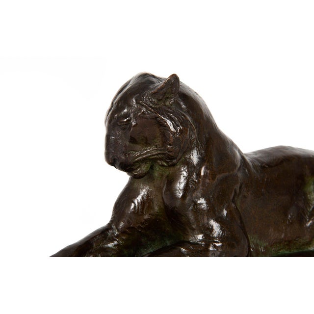 Rare American Bronze Sculpture “Princeton Tiger” by Alexander Phimister Proctor For Sale - Image 6 of 12