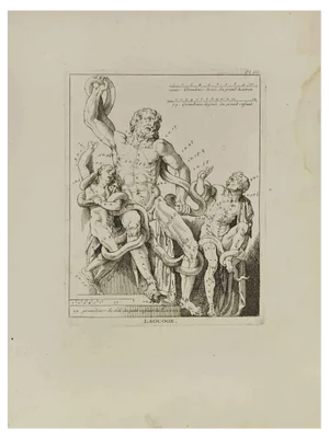 Nicholas Cochin, Anatomy Studies, Etching, 1755