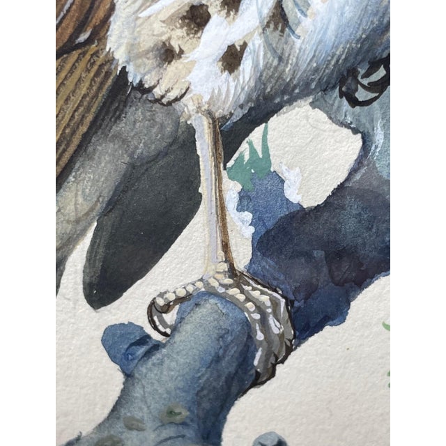 1950s Song Thrush Watercolour by Charles F. Tunnicliffe For Sale - Image 16 of 16