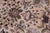 Shabby Chic Shabby Chic 1990's Botanical Nagi Pak-Persian Gray/Gray Wool Rug - 9'1'' X 12'5'' For Sale - Image 3 of 9