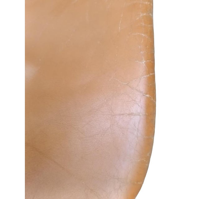 Beige Sabrina Chairs by Gastone Rinaldi for Rima, Italy, 1970s, Set of 4 For Sale - Image 8 of 16